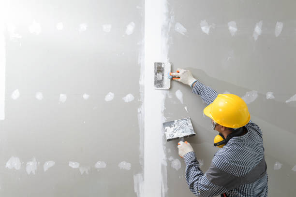 Trusted White Knoll, SC Mold Removal Experts