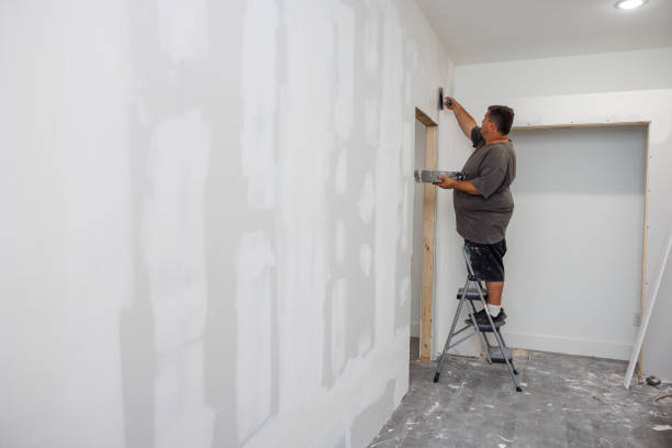 Best Basement Mold Removal  in White Knoll, SC