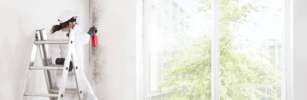 Best Emergency Mold Remediation  in White Knoll, SC