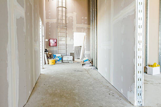 Best Residential Mold Inspection & Testing  in White Knoll, SC