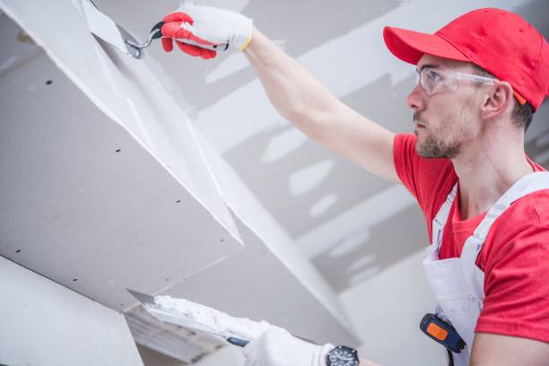 Mold Remediation for Rental Properties in White Knoll, SC